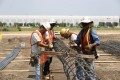 construction, sitework, preparation, work crew, tying pier steel