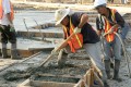 construction, tilt-up construction, tiltwall, panel, pour, concrete, cement, trowel